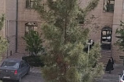 اجاره آپارتمان در برج شقایق منطقه 22