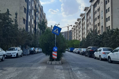 خرید و فروش و قیمت آپارتمان در برج های شهرک یاس